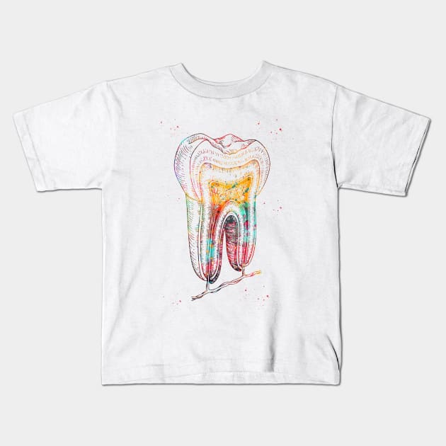 Human tooth structure Kids T-Shirt by erzebeth